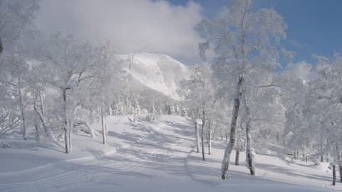Learning to Ski or Snowboard course on Udemy