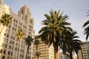Geo-flexible jobs and work opportunities in Los Angeles, United States