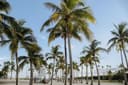Geo-flexible jobs and work opportunities in Miami, United States