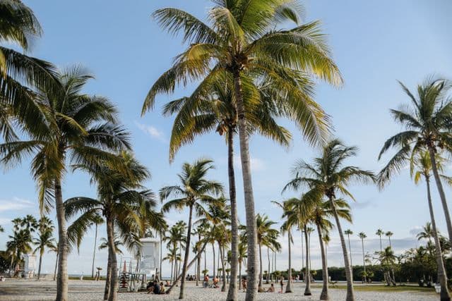 Geo-flexible jobs and work opportunities in Miami, United States