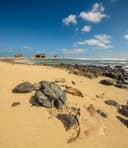 Geo-flexible jobs and work opportunities in Praia, Cape Verde
